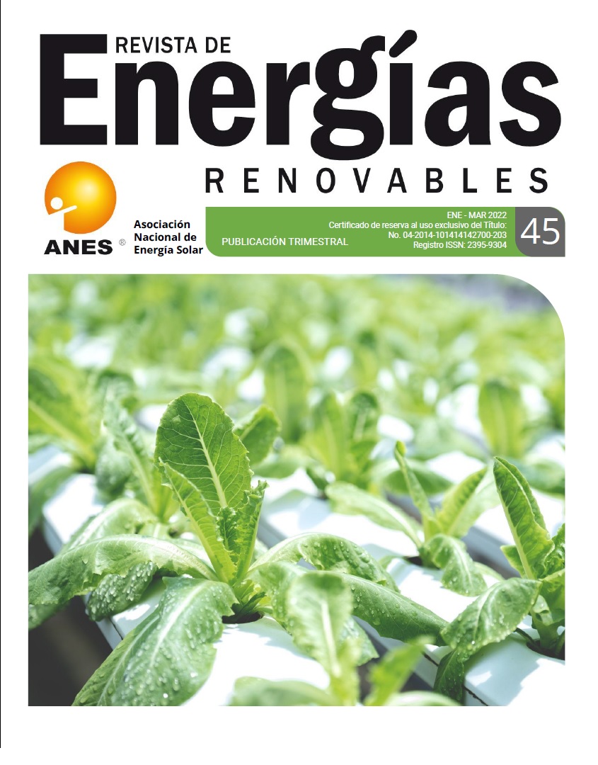 					Ver Vol. 8 Núm. 45 (2022):  Revista Energías Renovables
				